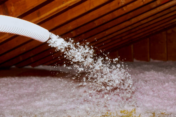 Best DIY Insulation Kits and Guidance in Montrose, CO