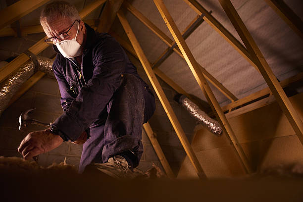 Best Residential Insulation in Montrose, CO