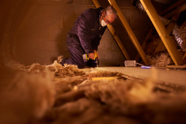Best Blown-in Insulation in Montrose, CO